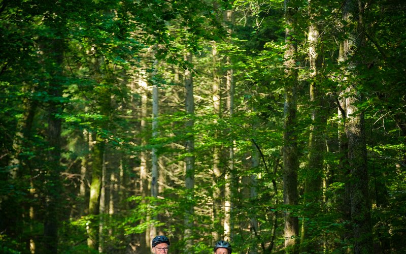 2 Männer fahren mit ihren Rädern auf einem Waldweg durch den Wald. Über ihnen erhebt sich ein Blätterdach.