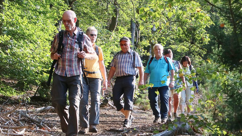 Eine kleine Touristengruppe wandert einen schmalen Pfad im Grünen entlang