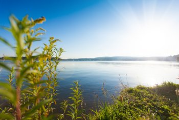 Blick vom Ufer auf den Bostalsee Vom Ufer aus hat man einen tollen Blick auf das blaue Wasser des Bostalsees mit der Sonne im Hintergrund.